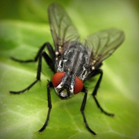 /album/broninucin/photolia-a01-jpg/