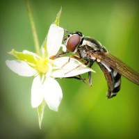 /album/broninucin/photolia-a02-jpg/