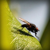 /album/broninucin/photolia-a04-jpg/