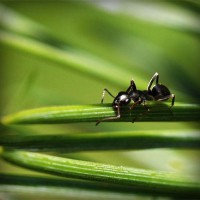 /album/broninucin/photolia-a05-jpg/