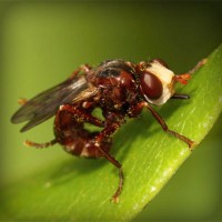 /album/broninucin/photolia-a06-jpg/