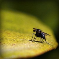 /album/broninucin/photolia-a07-jpg/