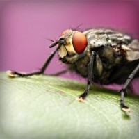 /album/broninucin/photolia-a08-jpg/
